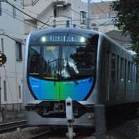 散歩道　　踏切を通る西武池袋線特急電車　　　28