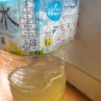 完熟梅を蒸留