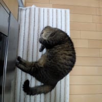 油断しまくり