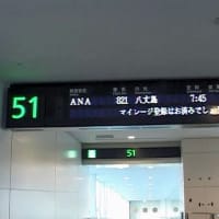 八丈小島もあるく　よみがえれ　三宅島応援ツアー　１回目　羽田空港