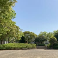 西洗公園は新緑で装って皆様の来場をお待ちしています