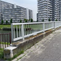 荒川放水路〜旧中川沿いを歩く①