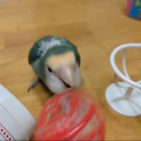 嬉しい事色々🍀