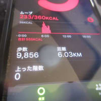朝ウォーキングの風景。令和7年6月27日。西洋朝顔とペンタス。