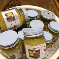 手作りジャム 鬼ゆずジャムレシピ Mt Rainer S Cafe 手作りジャム 鬼ゆずジャムレシピ Mt Rainer S Cafe