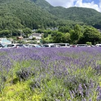 河口湖周遊