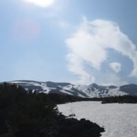 20250515　北海道春編㉘　望岳台散策パート１７　美瑛町