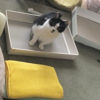頂き物の箱､､､。