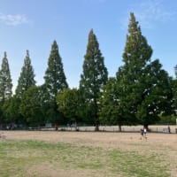 屋外で遊ぶ子供達