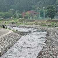 鮎、解禁から３日後厳しい