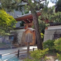織部寺と言われた『興聖寺』