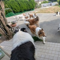 猛暑日到来