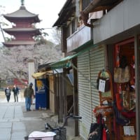 法華経寺の梅