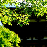 緑に包まれた古刹-奈良県天理市：長岳寺