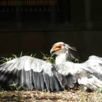 動物園