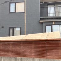 ほったらかしのバイク車庫がとんでもないことに