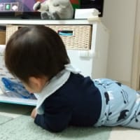 サッカー遠征