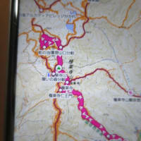2025.6.26.　 2025年6月5回目極楽寺・極楽寺山・屋代コーストレッキングと蛇の池は満開のスイレン