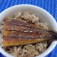 【05/18昼食】三重県産鰻蒲焼尾側ミニ鰻丼、やってきました鰻だぜいなんだね：P