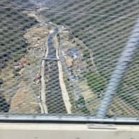 終わりよければの花見バスツアー