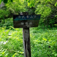 神坂峠（みさかとうげ）古代祭祀の遺跡がある峠