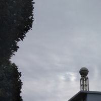 今日の空　春なのにワクワク気分が．．．