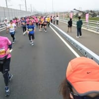 第一回ふくい桜マラソン2024