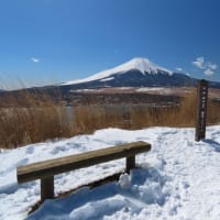 ▲ 石割山から富士を目掛けてミニ縦走 ▲