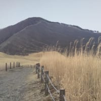 曽爾高原で星空撮影の準備