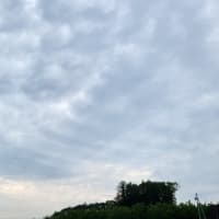 朝空