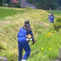 平治郎田草刈り作業
