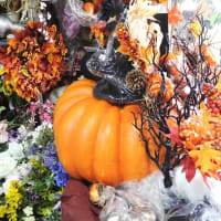 今年も人気ハロウィン装飾 造花ココーフラワー横浜 店舗販売