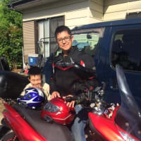 コイツは楽チン