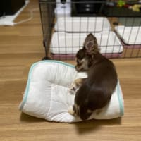 変な癖（ベッド）