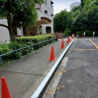 棟の周辺の白線引き直し