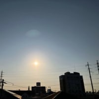 今夜は、二本立て。