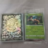 ポケットモンスターココ！