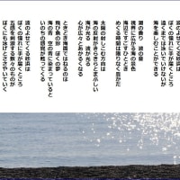 砂浜