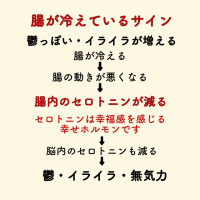 お腹の不調　さまざまなりトラブルへ