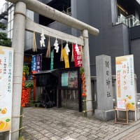 ほおずき市
