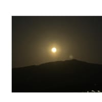 今日いち-2025年3月14日