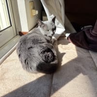 みゅっちゃん15歳です