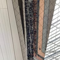 密着取材