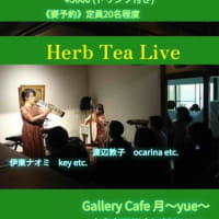 Herb Tea Live