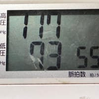 沖縄海中道路キャンピングカー生活＆ウイングフォイル強化＆スクール168日目　カブリナCODE　2025年最新モデル　65L インプレッション　昨日も吹いた