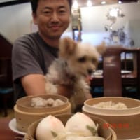 犬入店OKの横浜中華街のお店に行きました。