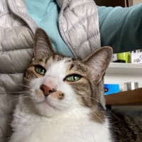 暖かくなってきたので