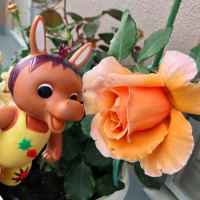 ロバくんとオレンジ色の薔薇