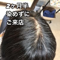 白髪隠しウィッグ