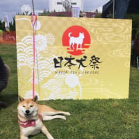日本犬祭２０１８